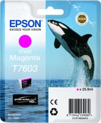 Epson Druckerpatrone Magenta <span class="itemid">C13T76034010</span>