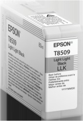 Epson Druckerpatrone light light black <span class="itemid">C13T850900</span>